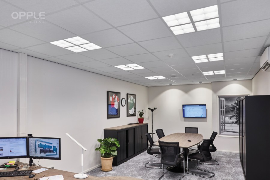 Dutch office with Smart Lighting